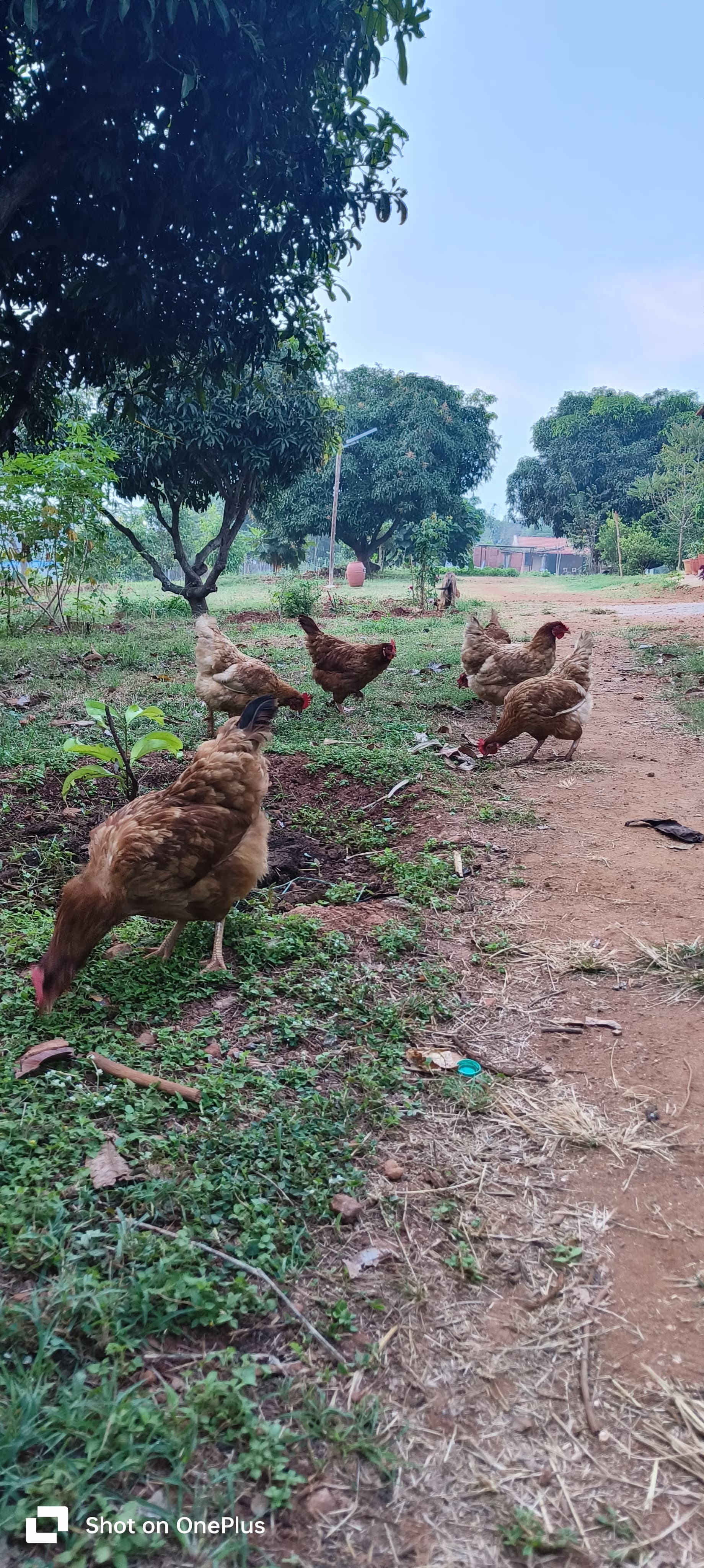 Casa Nassa landscape